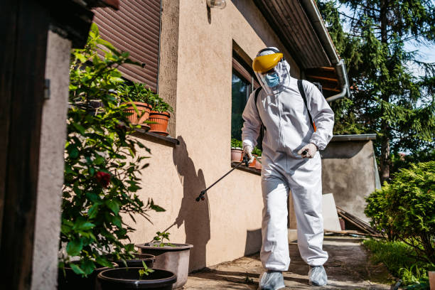 Best Best Pest Control Companies  in Lexington, IL