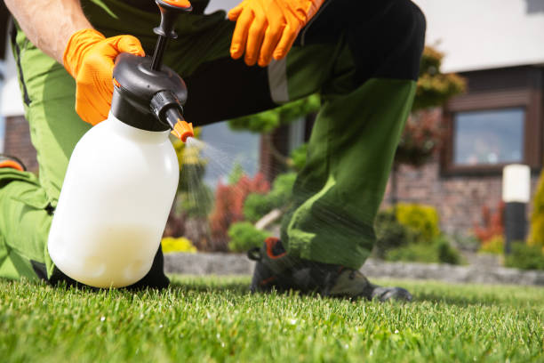 Best Exterminator Services  in Lexington, IL