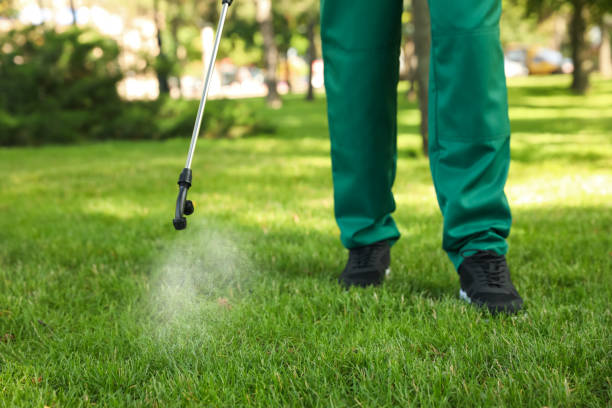 Best Bed Bug Extermination  in Lexington, IL