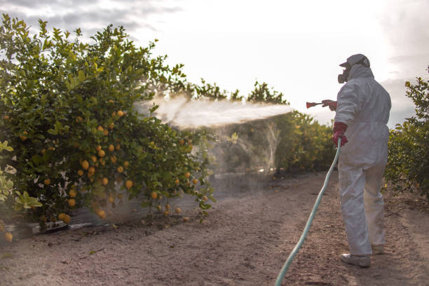 Pest Control Cost in Lexington, IL