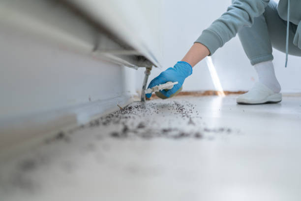 Best Exterminator Services  in Lexington, IL