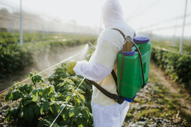 Wasp Removal Services in Lexington, IL